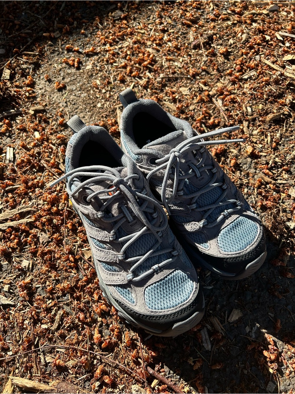 Merrell Moab 3 Hiking Shoe